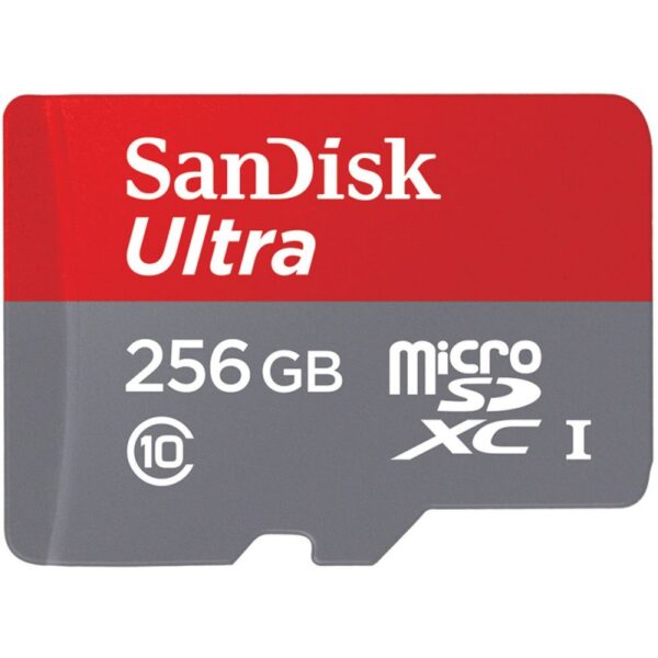 SanDisk 256GB Memory Card